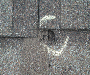 hail damage roofing services
