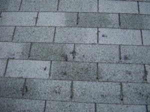 My Roof Doesn't Leak so How Can I Have Roof Hail Damage?