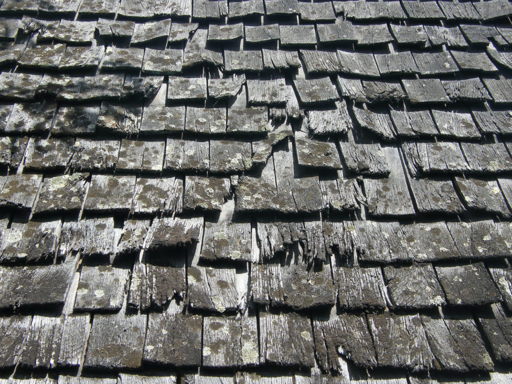 Shingle Damage from Wind and Hail Damage in Brighton, CO