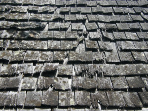 Shingle Damage from Wind and Hail Damage in Brighton, CO
