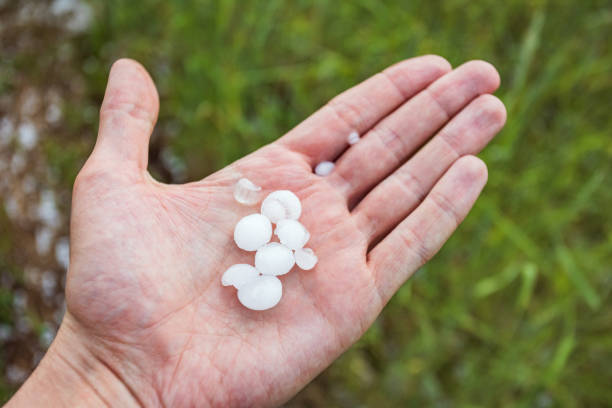 What Does Hail Look Like on a Roof? by Peak to Peak Roofing