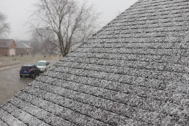 Winter Roof Maintenance: Essential Tips to Safeguard Your Home by Peak to Peak Roofing