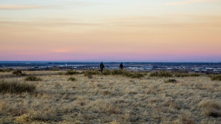 Did You Know? 5 Surprising Facts About Parker, Colorado