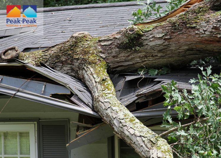 Simplify the process with 3 essential tips for getting a roof insurance quote. Learn how to find the right coverage for your Denver home.