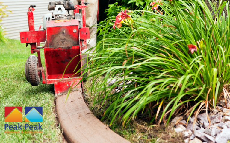 Inspire your garden's transformation with creative landscape edging ideas that boost curb appeal and define outdoor spaces.